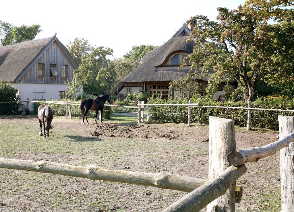 Ostseehotel Wustrow Wustrow  Zewnętrze zdjęcie