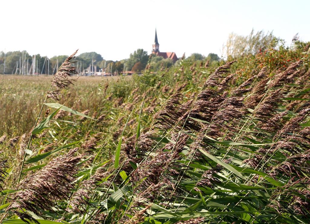 Ostseehotel Wustrow Wustrow  Zewnętrze zdjęcie